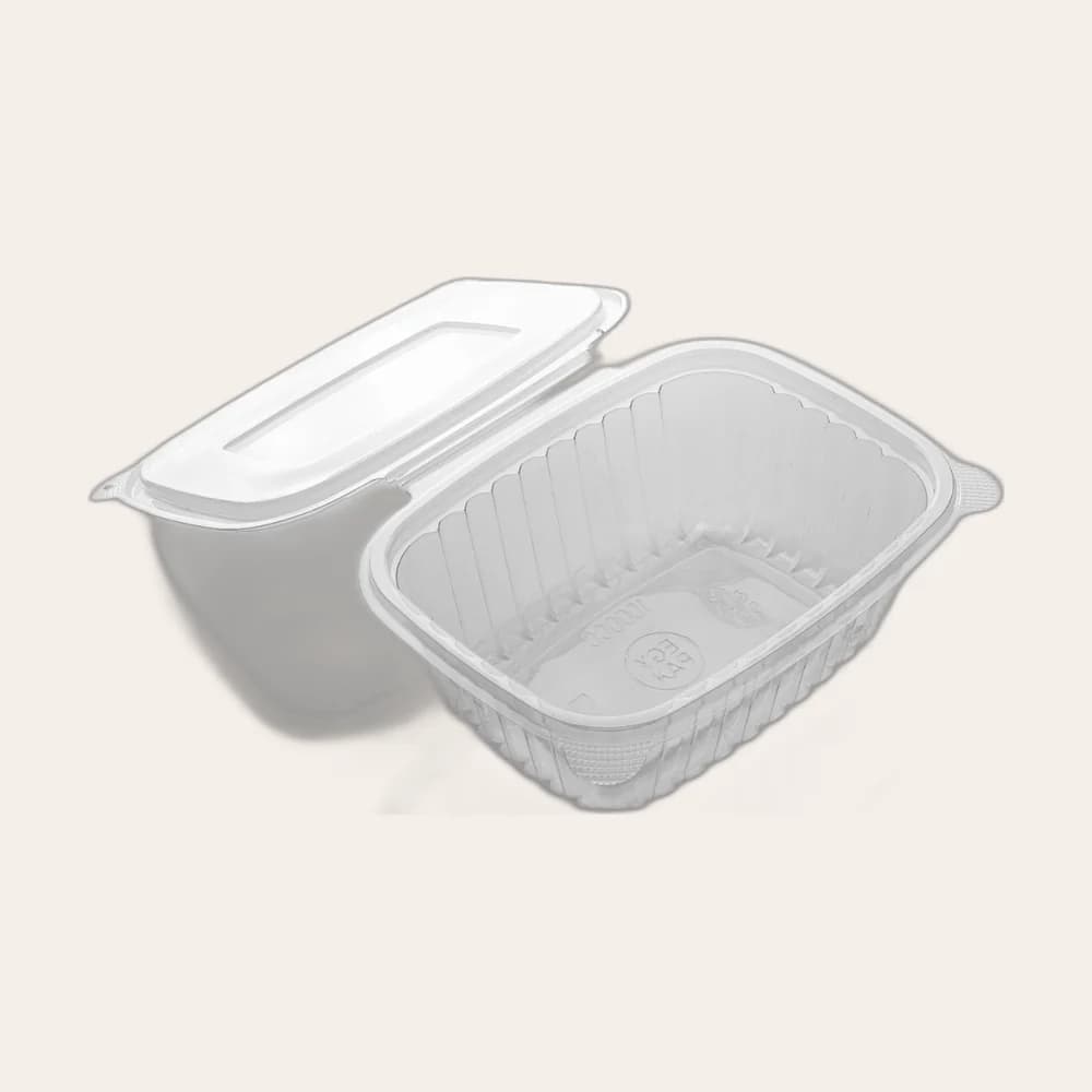 Modified Rectangular Hinged Container 1000