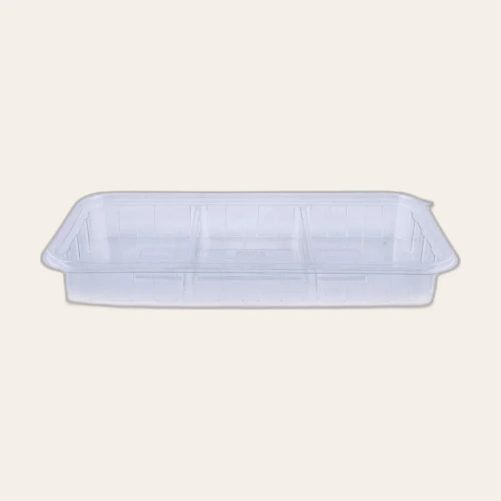 Rectangular Container 300ml Divided (BRT-1D)