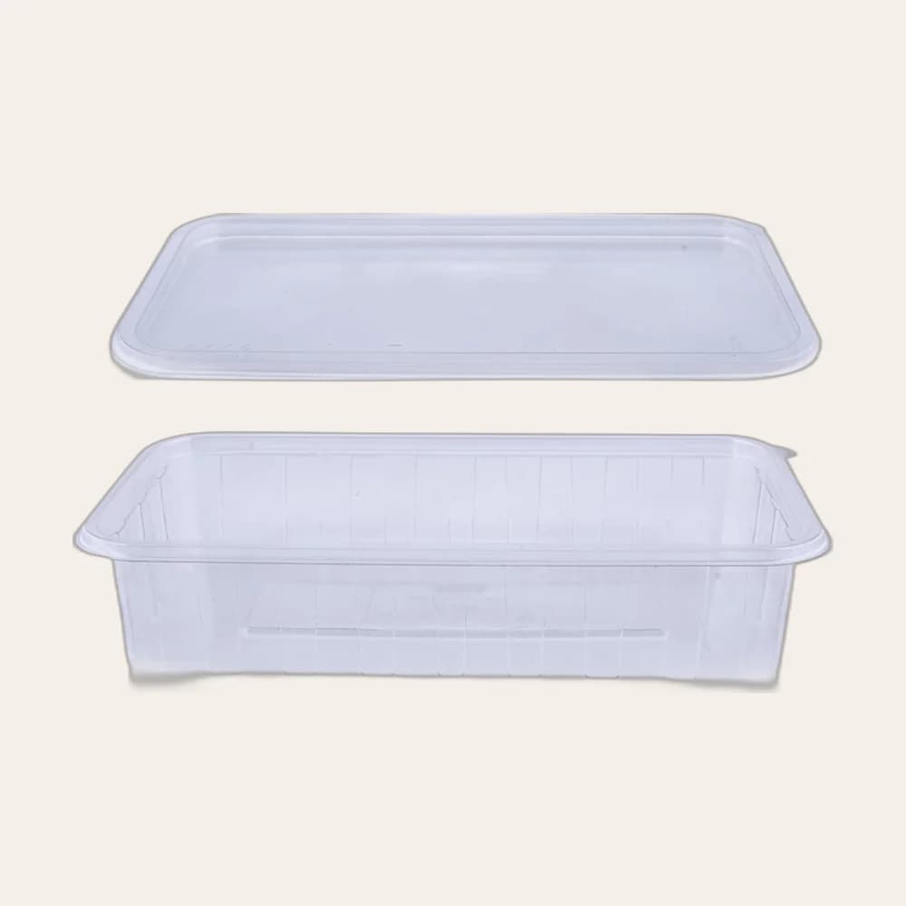 Rectangular Container 600ml (BRT-2)